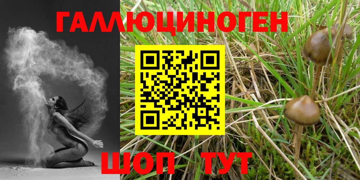 Галлюциногенные грибы Psilocybine cubensis  Вход с VPN  Чебоксары 